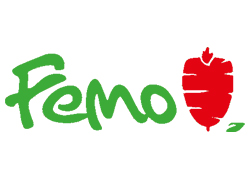 Femo Grill